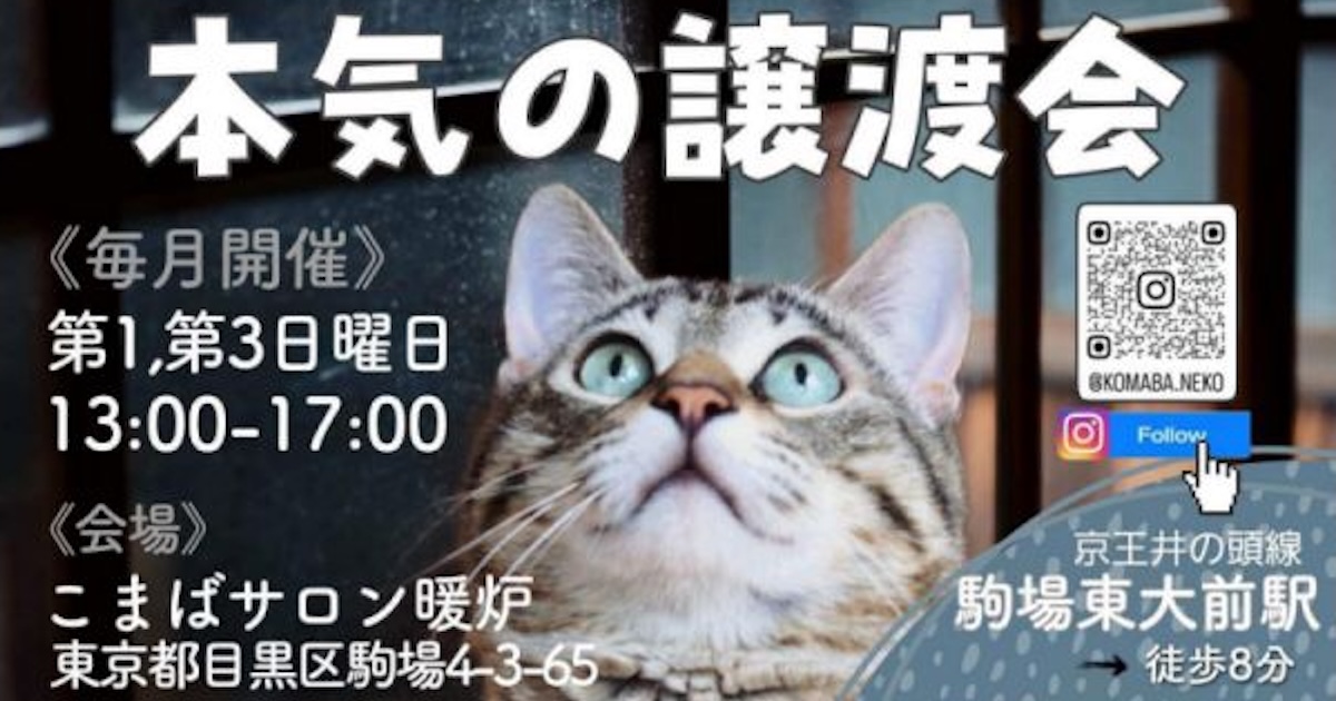 【ボランティア貢献】「駒場本気の譲渡」様のHPと管理画面を提供しました